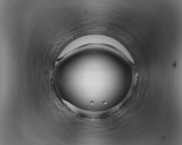 X0000116340284200912151335