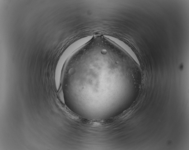 X0000116340285200912151335