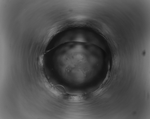 X0000116340286200912151335