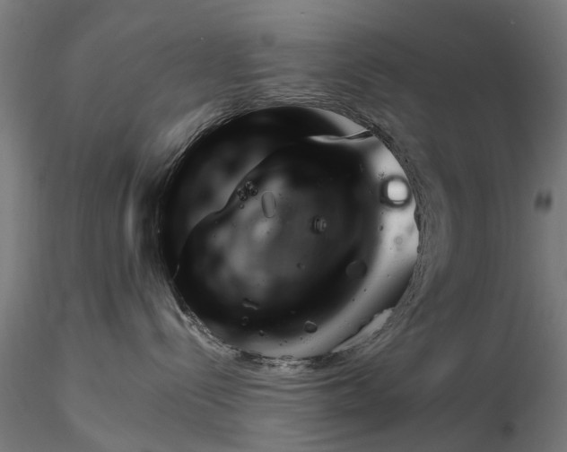 X0000116340288200912151335