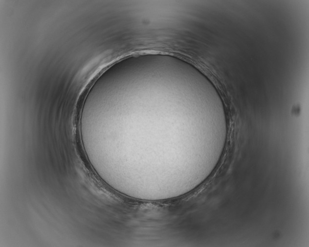 X0000116340290200912151334