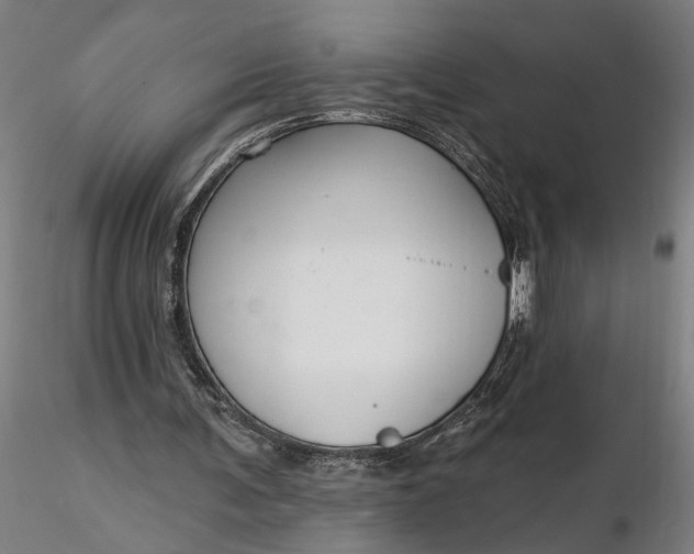 X0000116340291200912151334