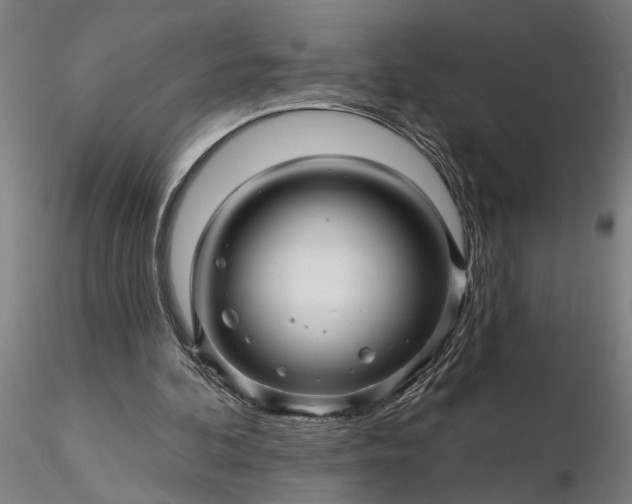 X0000116340292200912151334