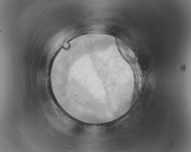 X0000116340293200912151334