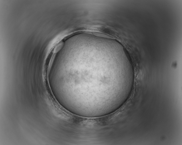 X0000116340294200912151334