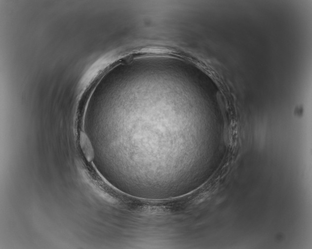 X0000116340296200912151334