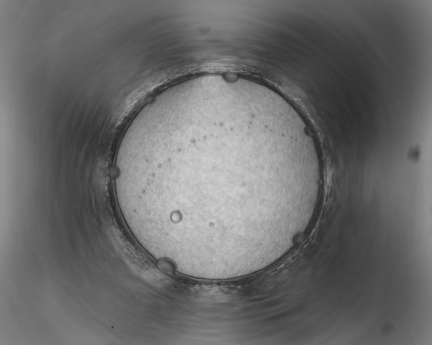 X0000116340297200912151334