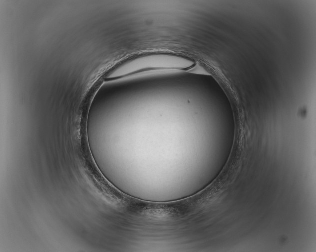 X0000116340299200912151334