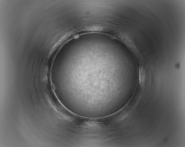 X0000116340300200912151334