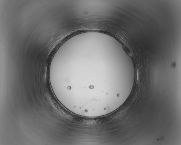 X0000116340301200912151334