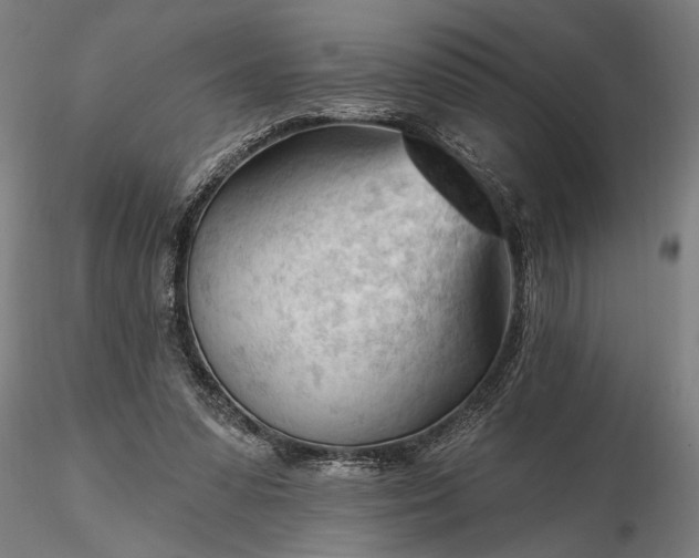 X0000116340303200912151334