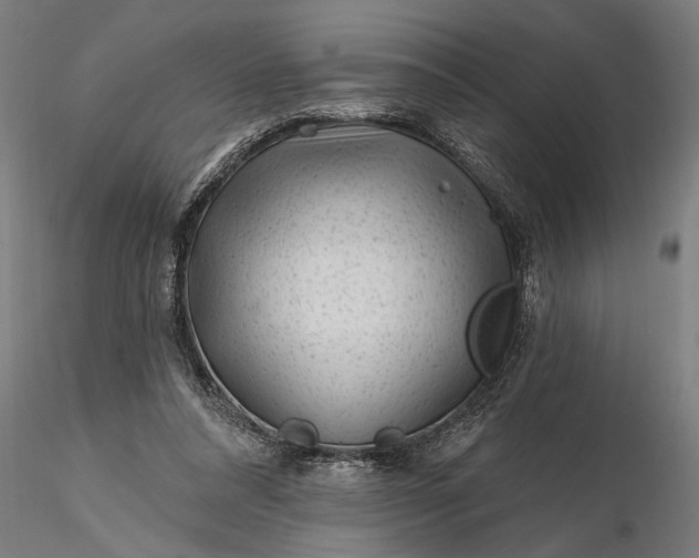 X0000116340304200912151334