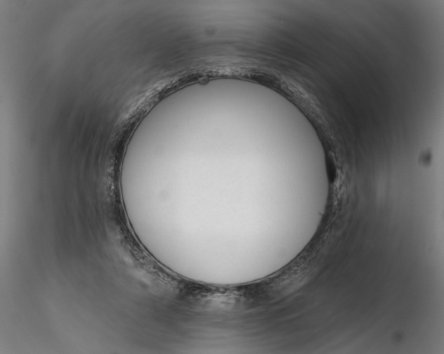 X0000116340306200912151334