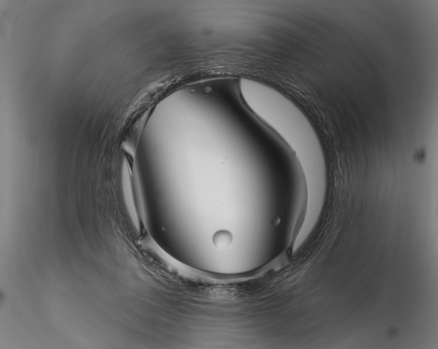 X0000116340308200912151334