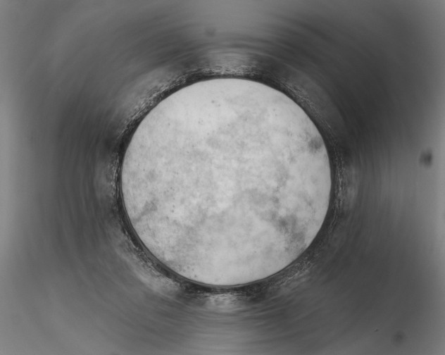 X0000116340309200912151334