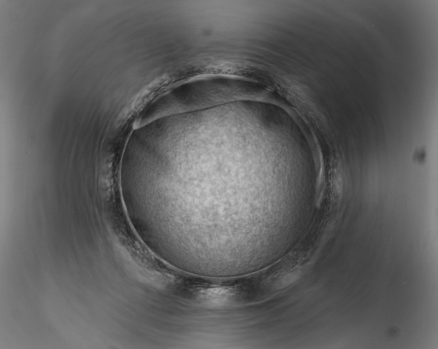 X0000116340312200912151334