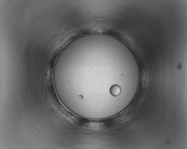 X0000116340314200912151334