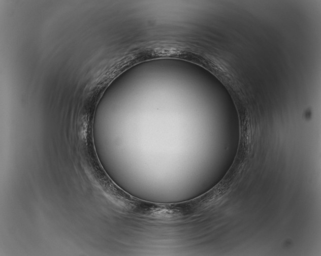 X0000116340315200912151334