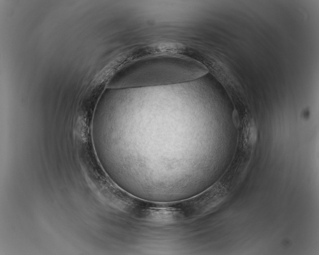 X0000116340316200912151334