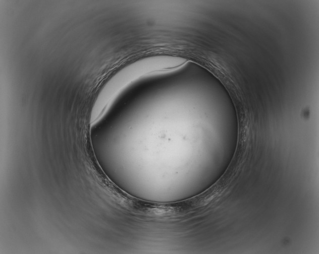 X0000116340317200912151334