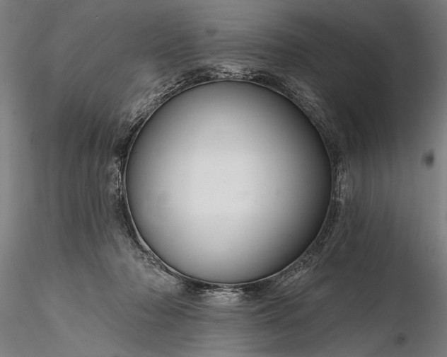 X0000116340318200912151334