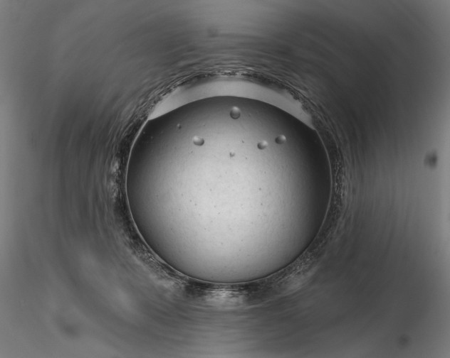 X0000116340319200912151334