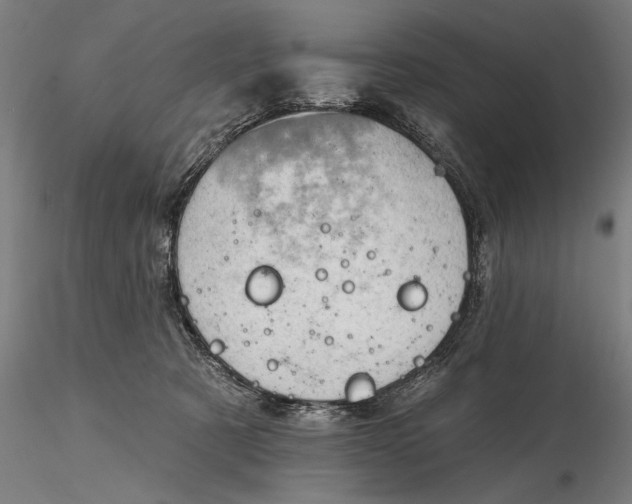 X0000116340321200912151334