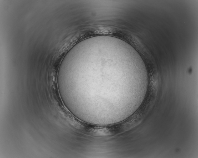 X0000116340322200912151334