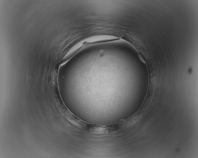 X0000116340325200912151334