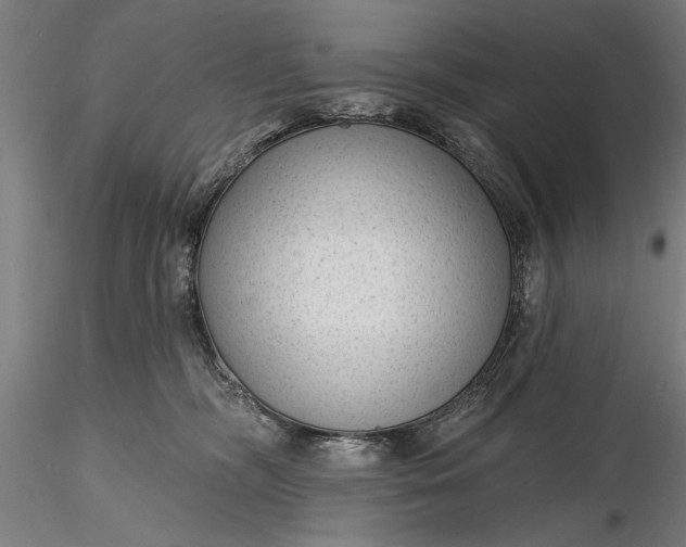 X0000116340326200912151334