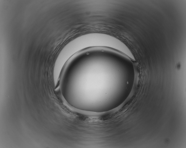 X0000116340327200912151334