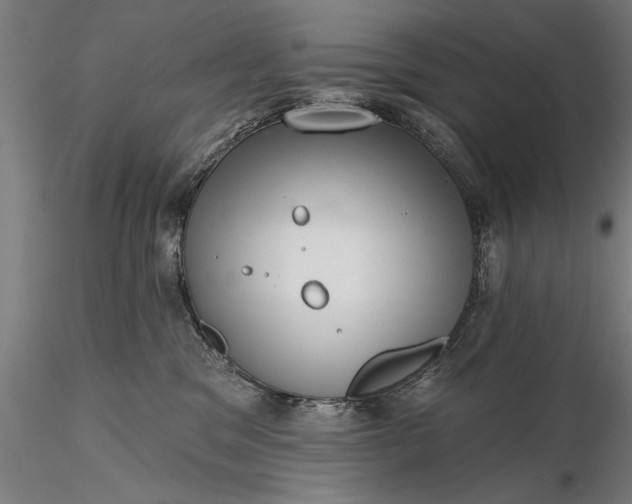 X0000116340329200912151334