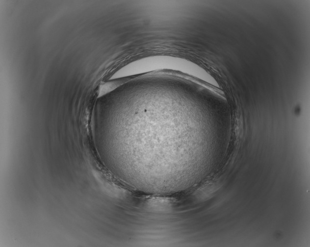 X0000116340332200912151334