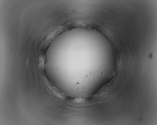 X0000116340335200912151334