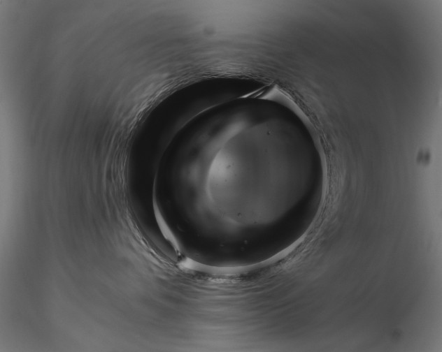 X0000116340336200912151334