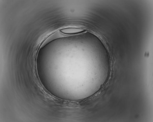 X0000116340337200912151333