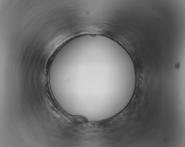 X0000116340338200912151333