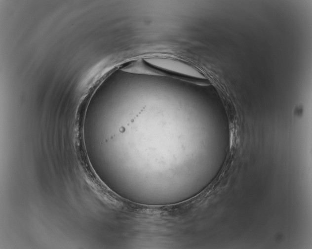 X0000116340339200912151333