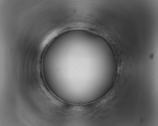 X0000116340341200912151333