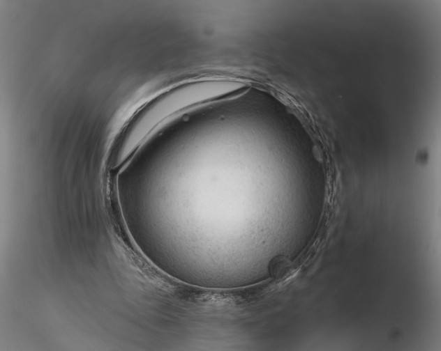 X0000116340343200912151333