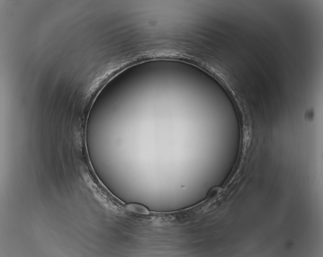 X0000116340345200912151333