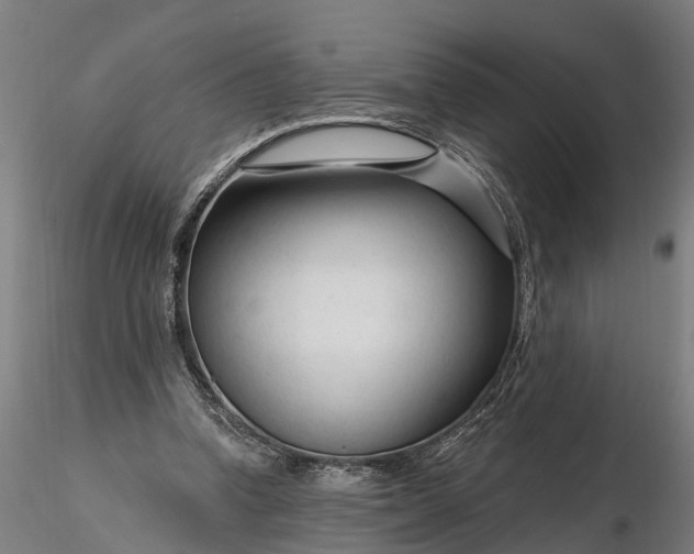 X0000116340346200912151333