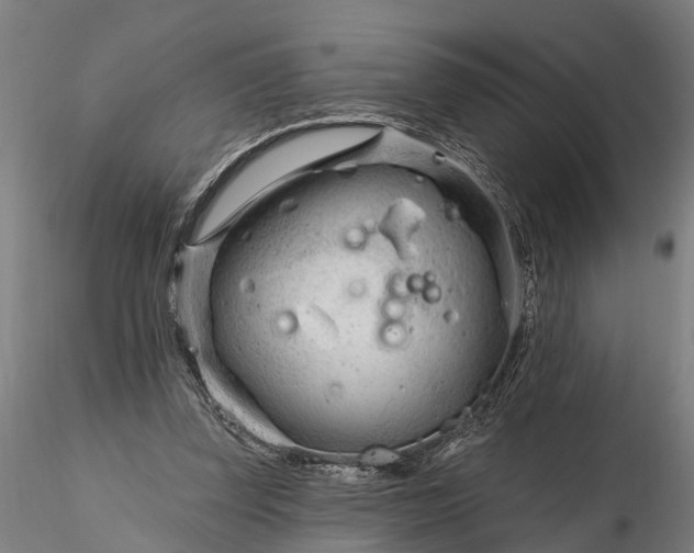 X0000116340347200912151333