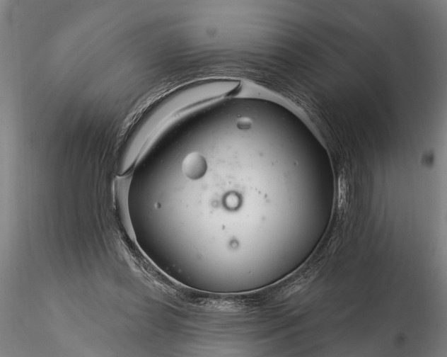 X0000116340349200912151333