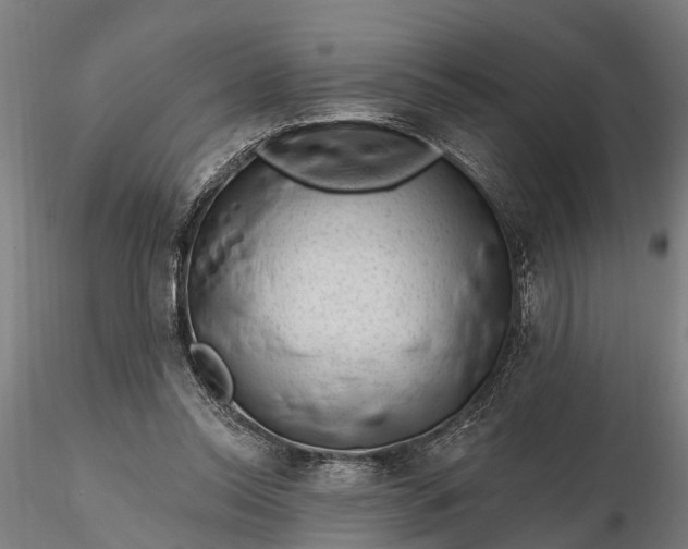 X0000116340350200912151333