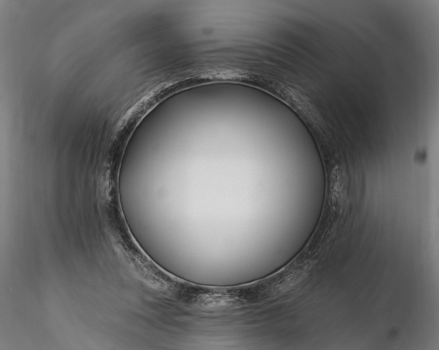 X0000116340351200912151333