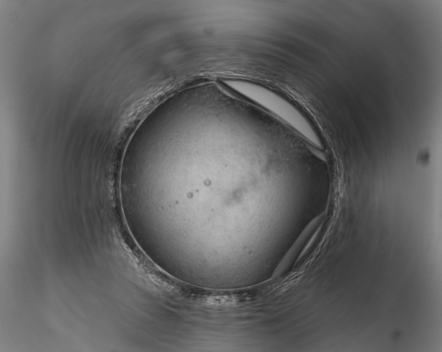 X0000116340353200912151333