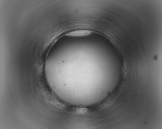 X0000116340355200912151333