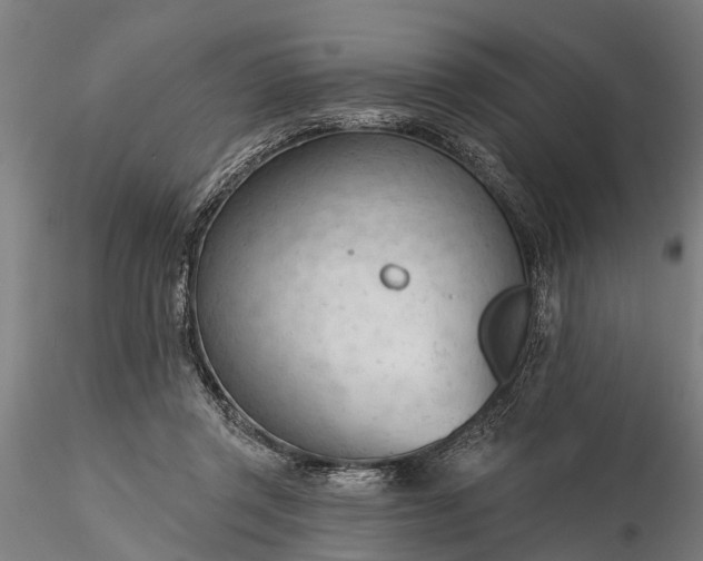 X0000116340357200912151333