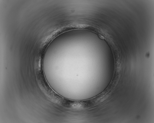 X0000116340358200912151333